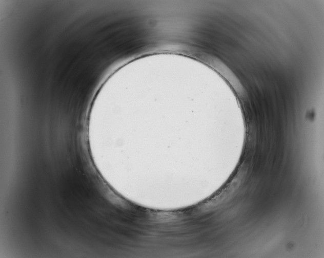 X0000103441436200810241111