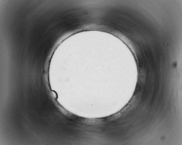 X0000103441437200810241111
