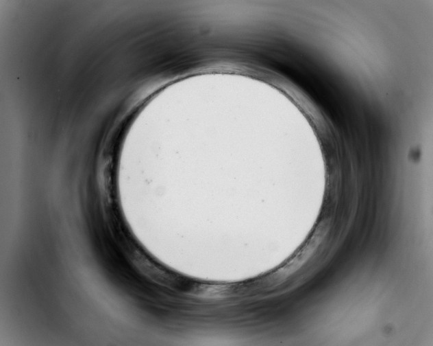 X0000103441438200810241111