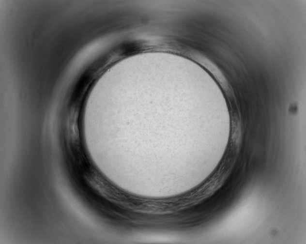 X0000103441439200810241111