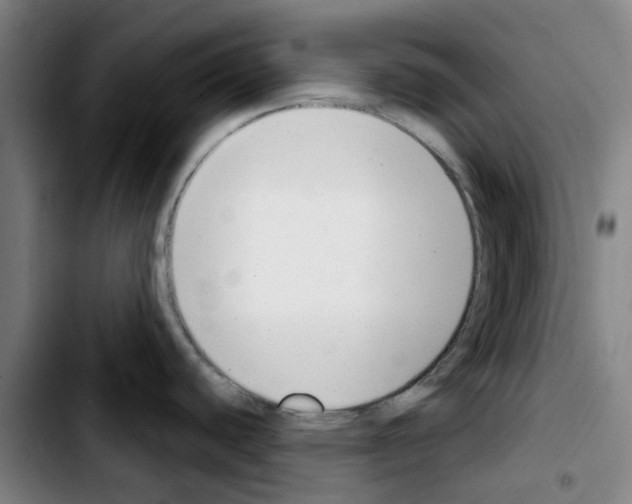 X0000103441440200810241111