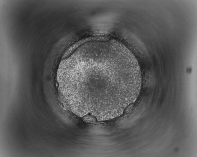 X0000103441441200810241111