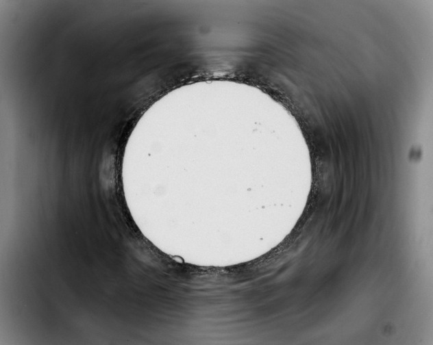 X0000103441442200810241111