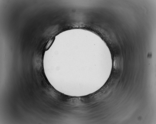 X0000103441444200810241110