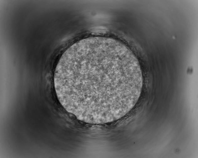 X0000103441445200810241110
