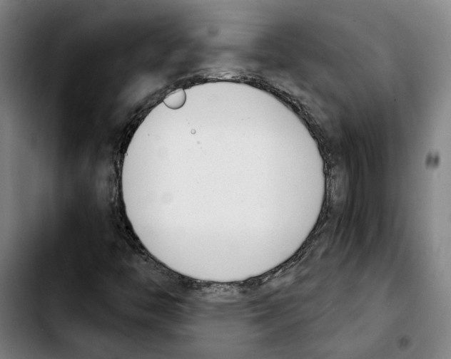 X0000103441446200810241110