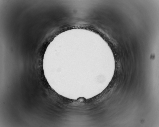 X0000103441447200810241110