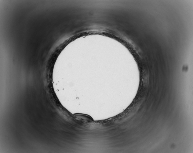 X0000103441448200810241110