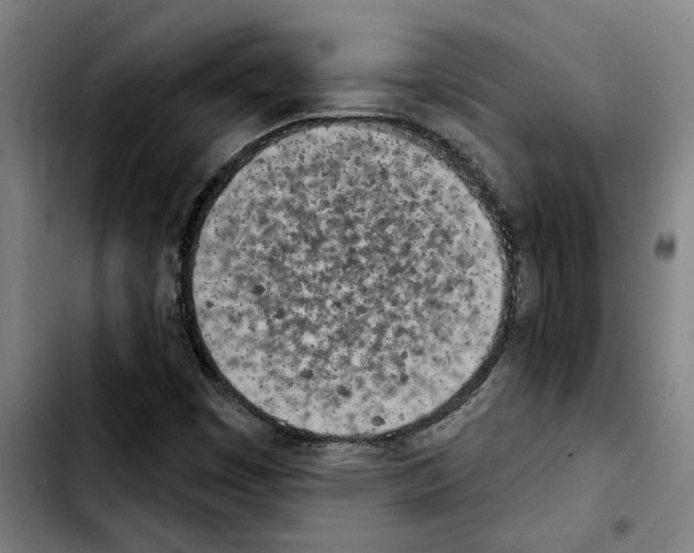 X0000103441449200810241110