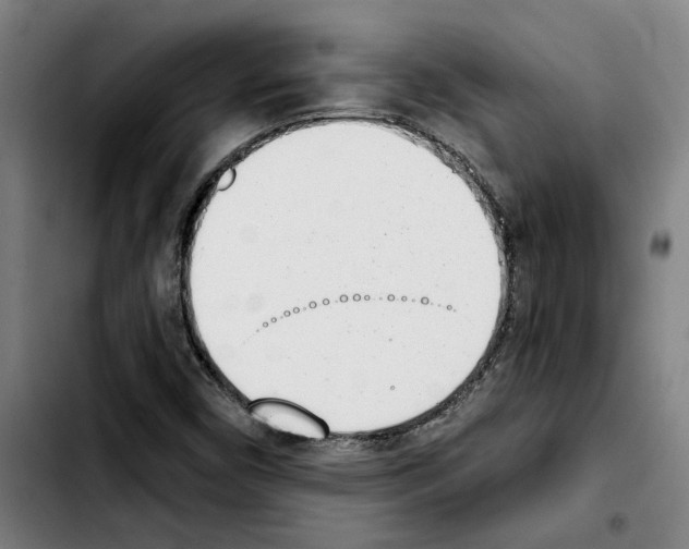 X0000103441450200810241110