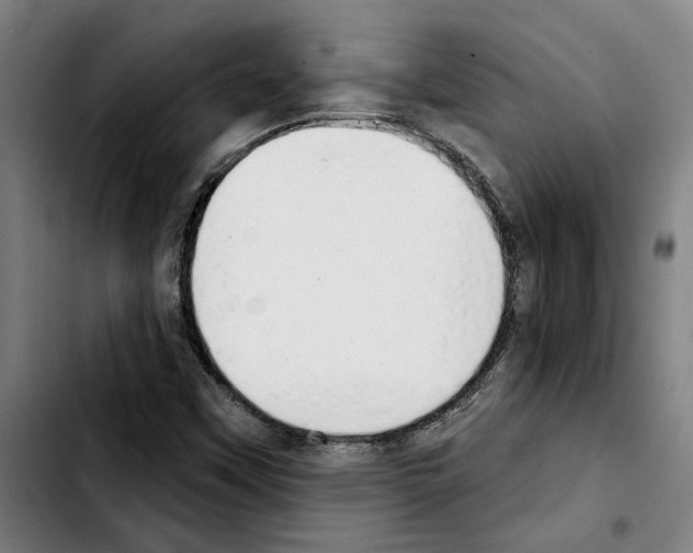 X0000103441451200810241110