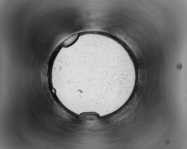 X0000103441452200810241110