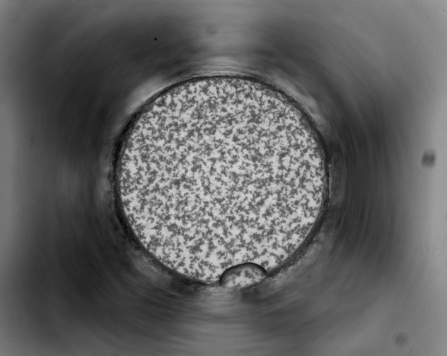 X0000103441453200810241110
