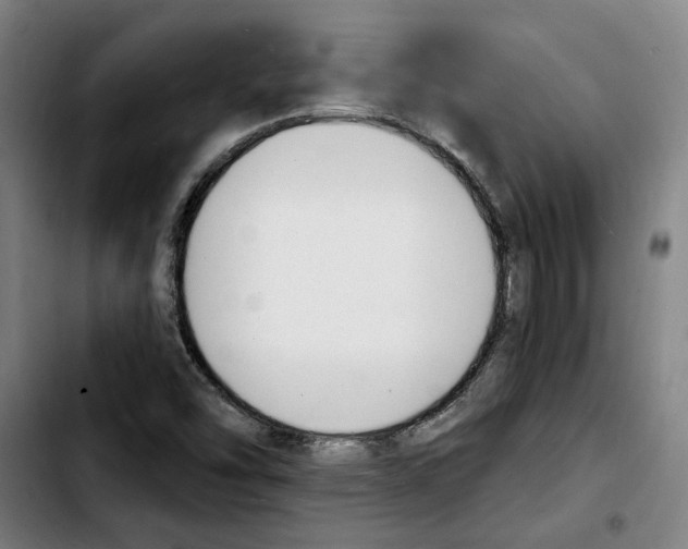 X0000103441454200810241110