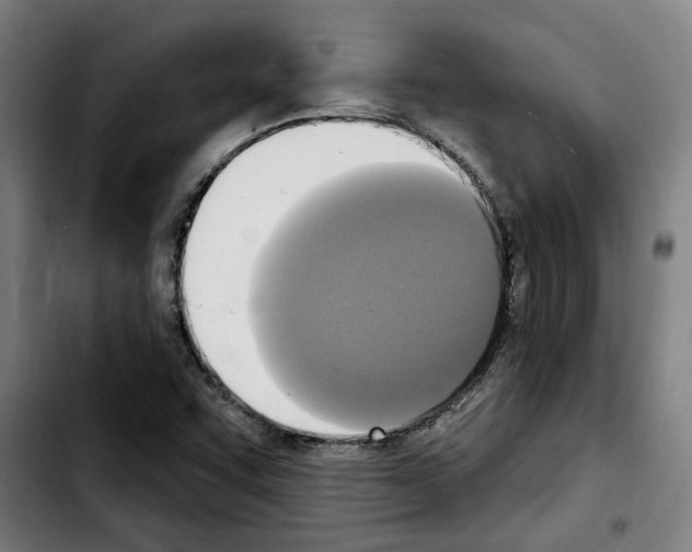 X0000103441455200810241110