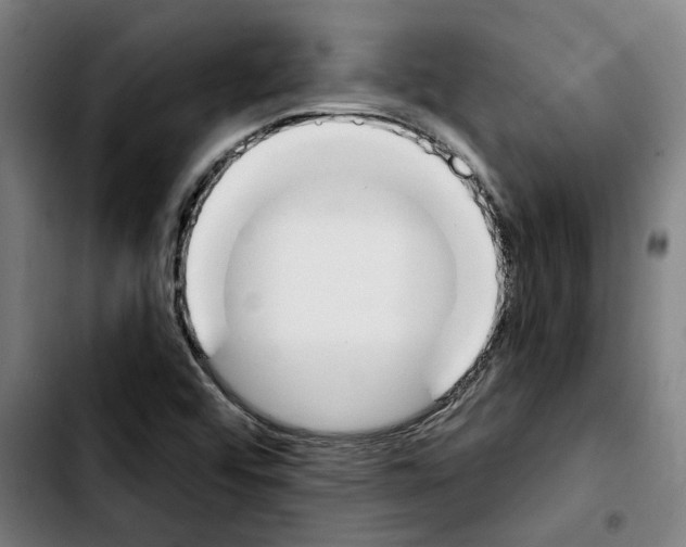 X0000103441456200810241110