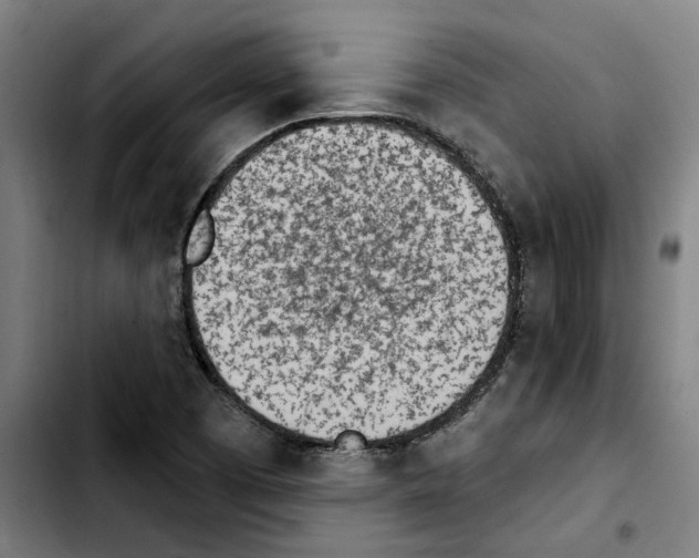 X0000103441457200810241110