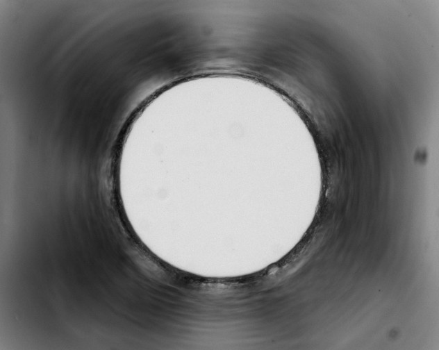 X0000103441458200810241110