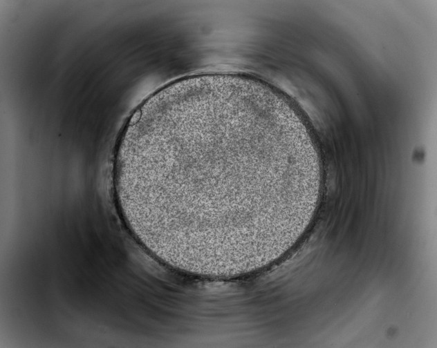X0000103441459200810241110