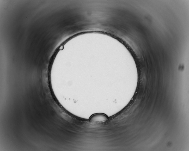 X0000103441460200810241110
