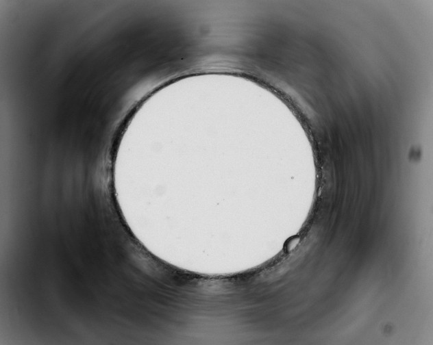 X0000103441461200810241110