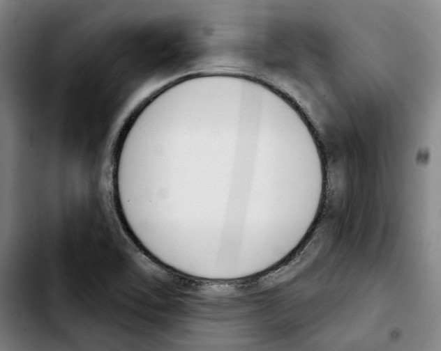 X0000103441462200810241110