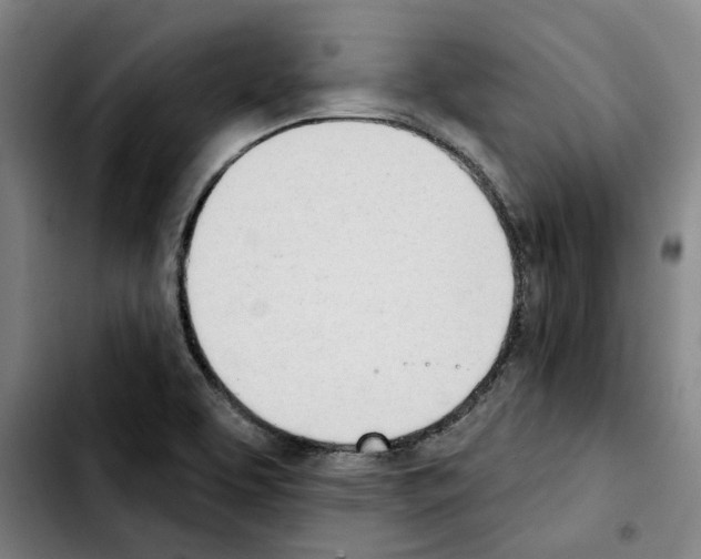 X0000103441463200810241110