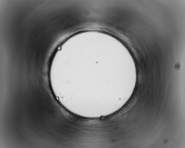 X0000103441464200810241110