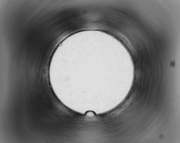X0000103441465200810241110