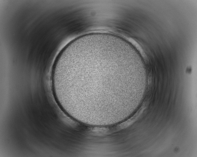 X0000103441466200810241110