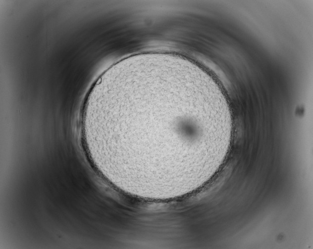 X0000103441467200810241110