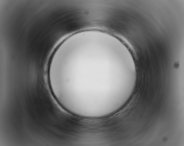 X0000103441468200810241110