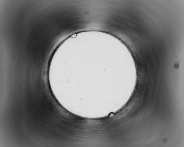 X0000103441469200810241110
