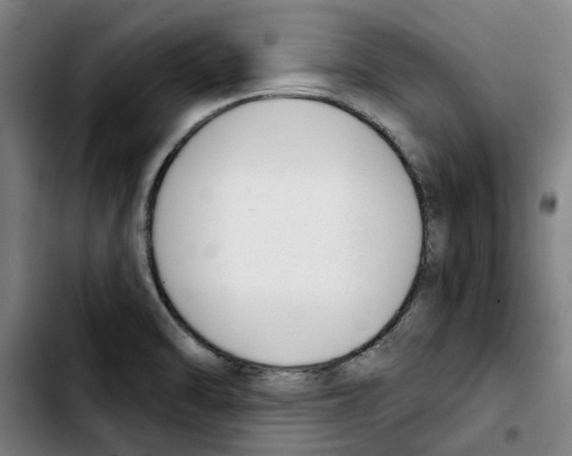 X0000103441470200810241110