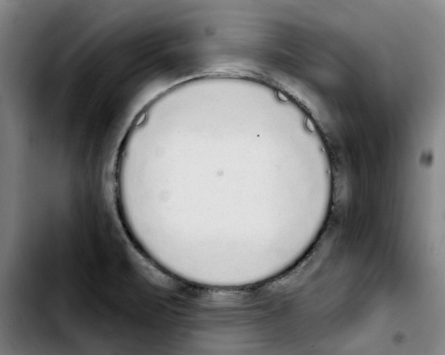 X0000103441471200810241110