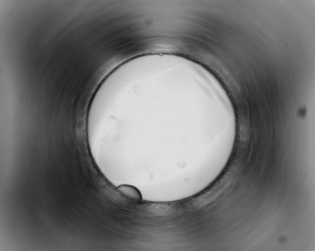 X0000103441473200810241110
