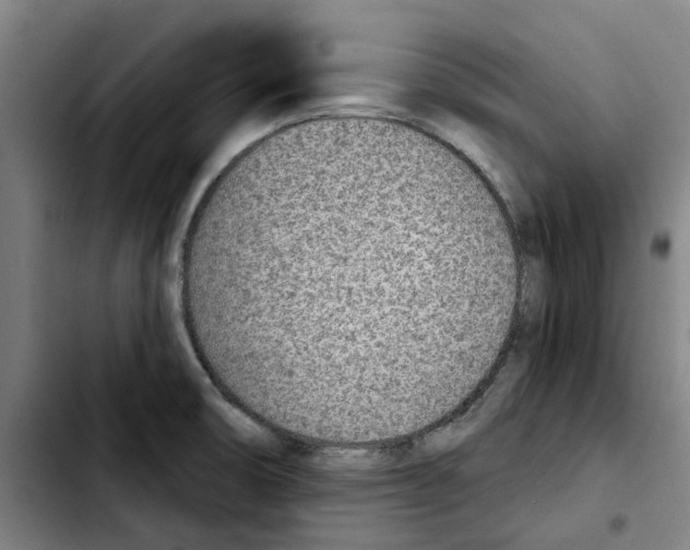 X0000103441474200810241110