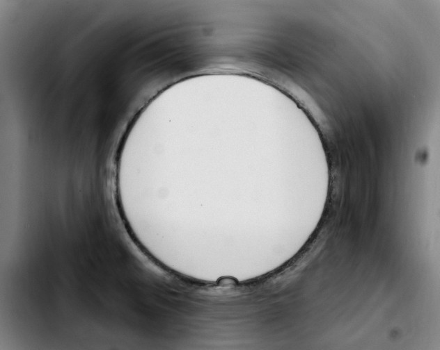 X0000103441476200810241110