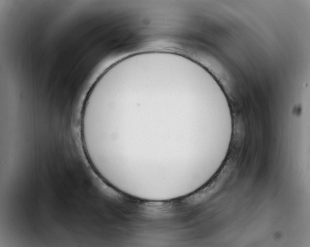 X0000103441478200810241110