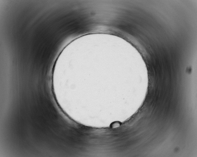 X0000103441479200810241110