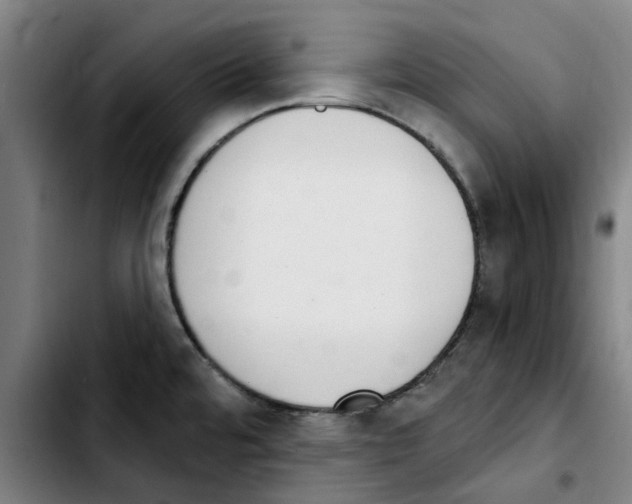X0000103441480200810241110
