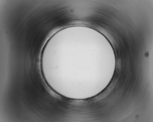 X0000103441482200810241110