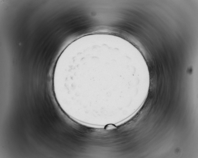 X0000103441483200810241110