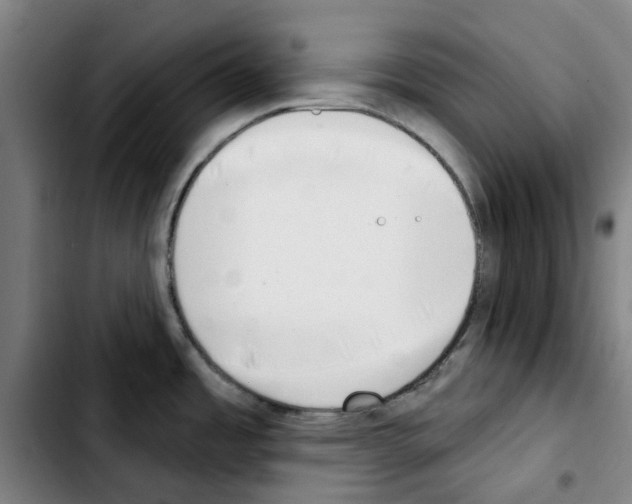 X0000103441485200810241110