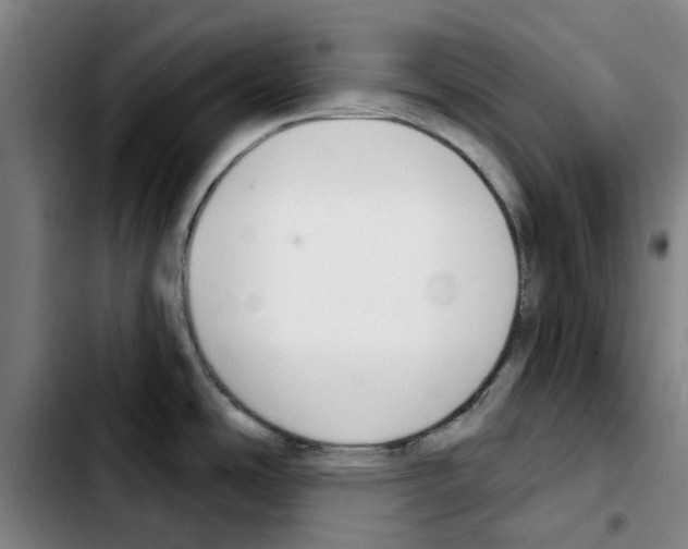 X0000103441486200810241110