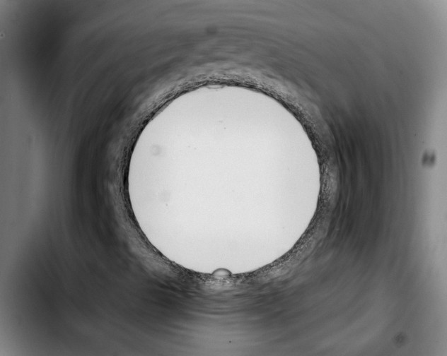 X0000103441489200810241109