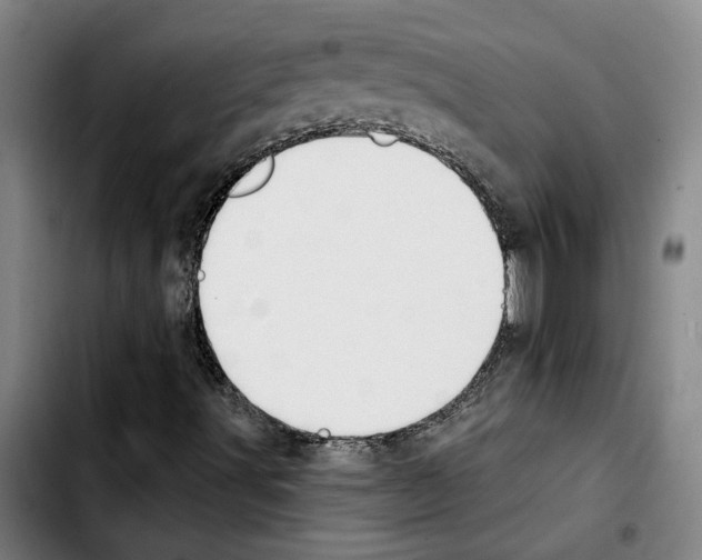 X0000103441491200810241109