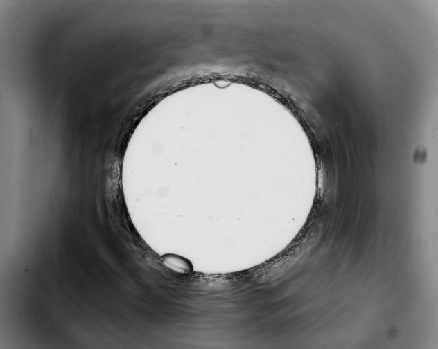 X0000103441492200810241109