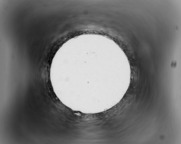 X0000103441493200810241109