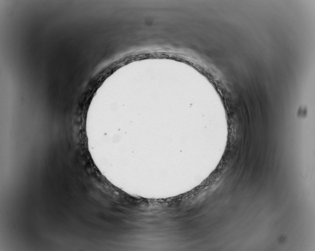X0000103441494200810241109